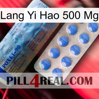 Lang Yi Hao 500 Mg 40